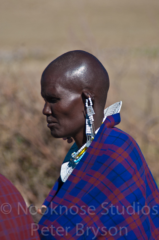 African Masai Women 26
