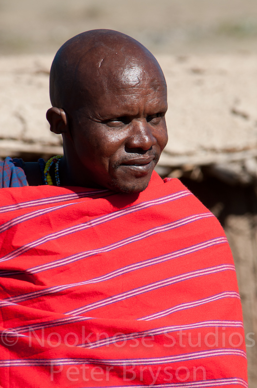 African Masai Women 37