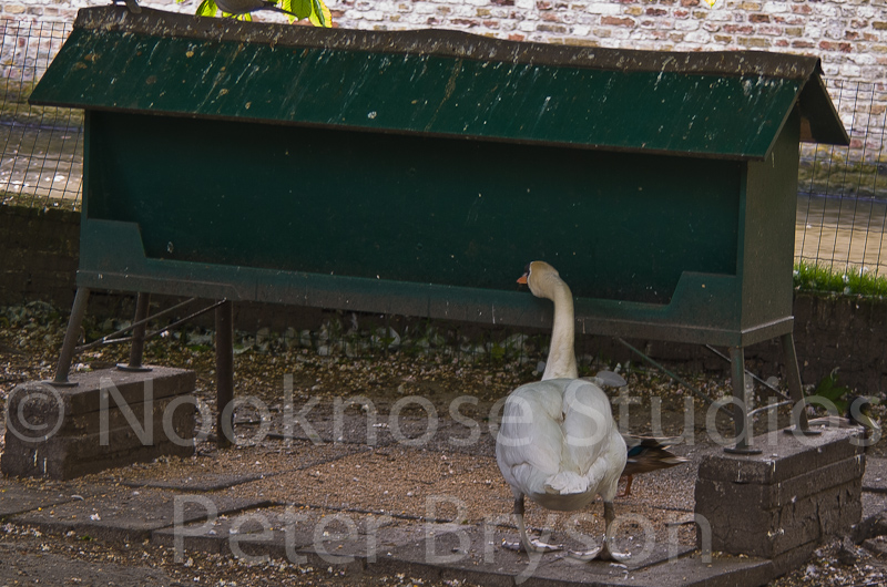 Paris Bruges 02