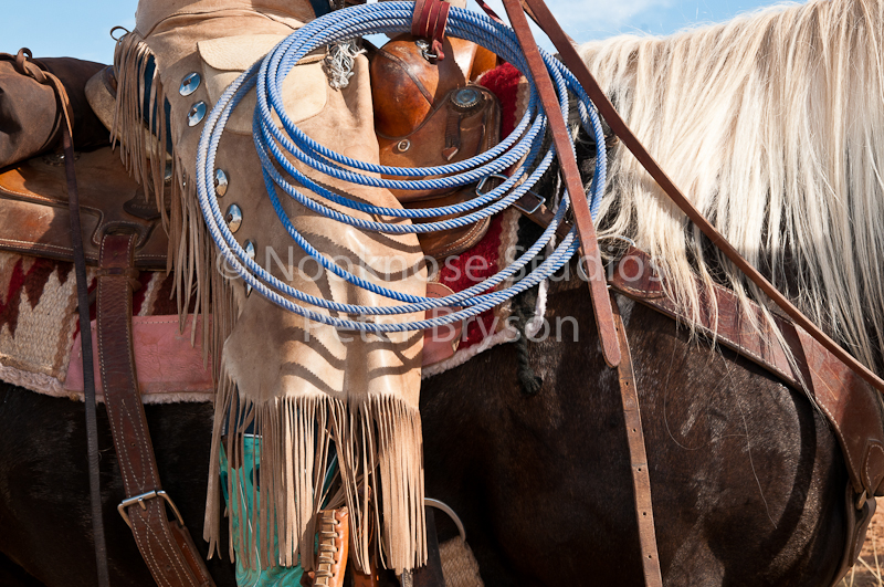 Horses Gear