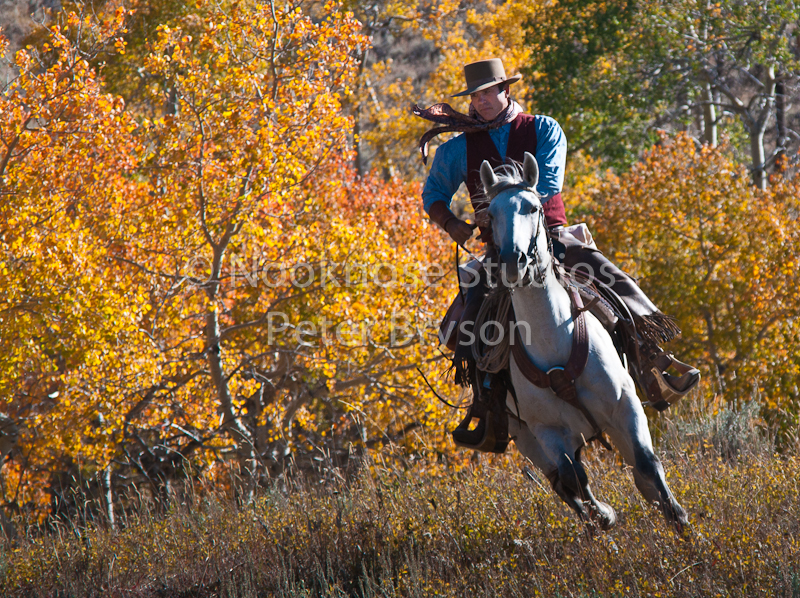 Riders in Motion