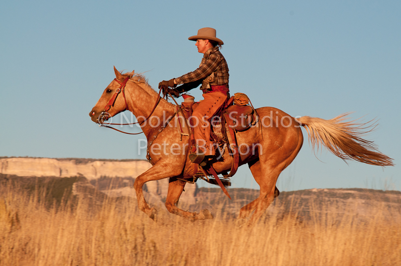 Riders in Motion