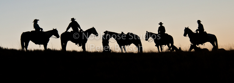 Horses- Silhouettes