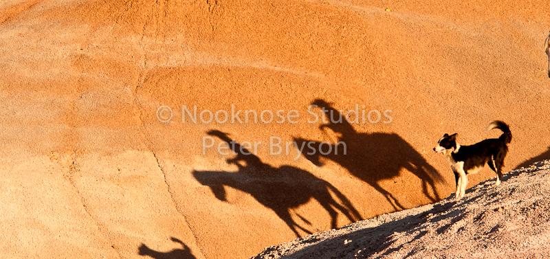 Horses- Silhouettes on Rock