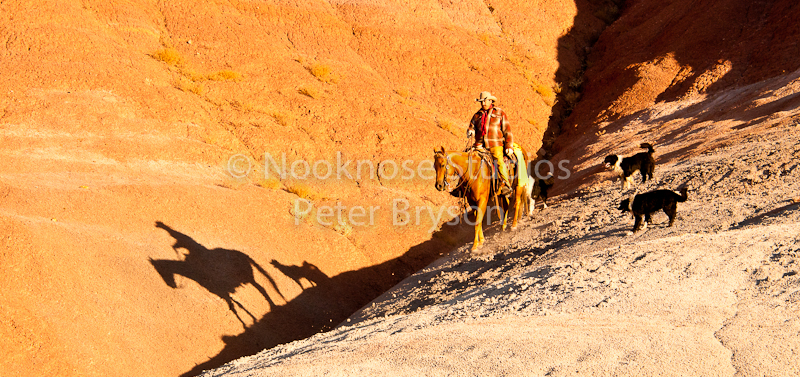 Horses- Silhouettes on Rock