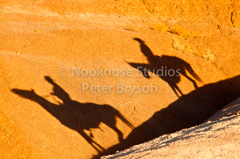 Horses- Silhouettes on Rock