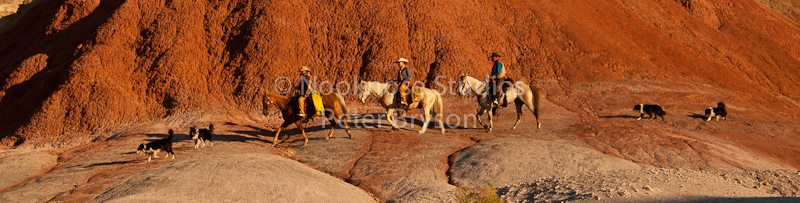 Horses- Silhouettes on Rock