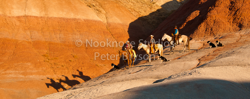 Horses- Silhouettes on Rock