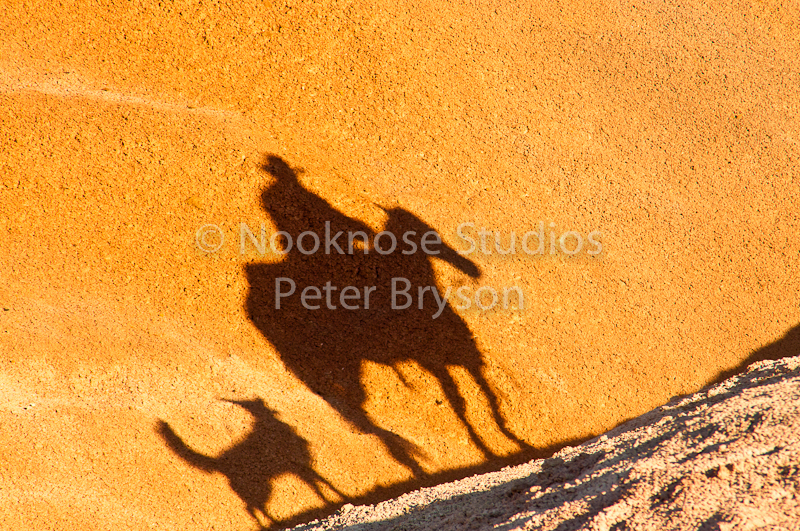 Horses- Silhouettes on Rock