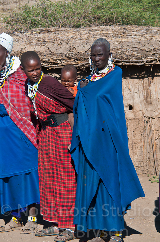 African Masai Women 32